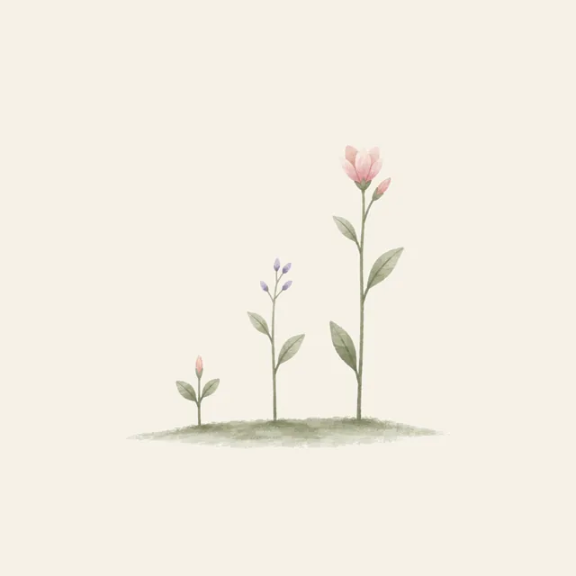 Soft illustration representing trends over time
